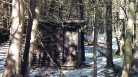 Inverhuron (ghost town) photo 3