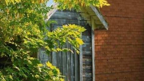 Fort Stewart Shed - Fort-Stewart-Work-Shed4.jpg