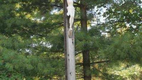 Old Polish Church, Wilno cover photo