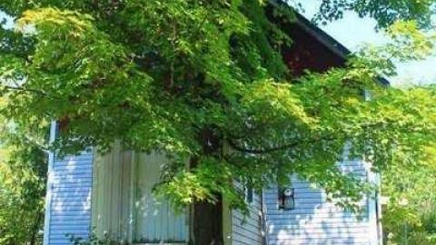 Wilno Church - Old-Polish-Church,-Wilno2.jpg