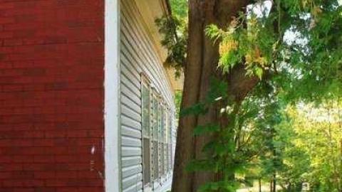 Wilno Church - Old-Polish-Church,-Wilno6.jpg