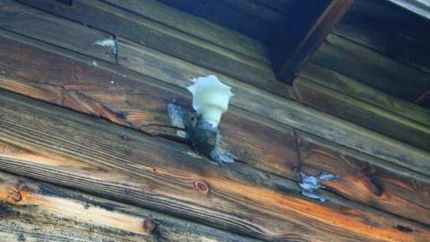 Wilno Church - Old-Polish-Church,-Wilno8.jpg