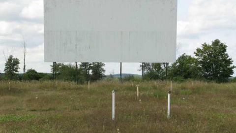 Mustang Drive-In Visit 9/1/13 - Mustang-Drivein44.jpg