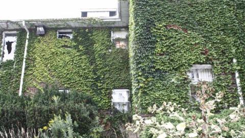 Climbing Walls - Hamilton-TB-Sanitorium82.jpg