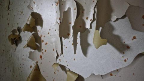 Climbing Walls - Hamilton-TB-Sanitorium91.jpg