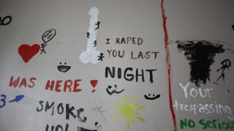 Climbing Walls - Hamilton-TB-Sanitorium94.jpg