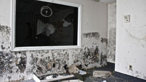 Climbing Walls - Hamilton-TB-Sanitorium95.jpg