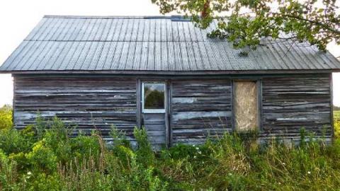 Sunflowers on a cloudy day - Kings-Row-Cabin7.jpg