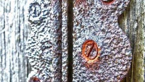 Sunflowers on a cloudy day - Kings-Row-Cabin8.jpg