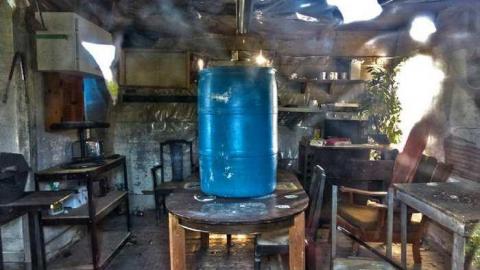 Sunflowers on a cloudy day - Kings-Row-Cabin9.jpg