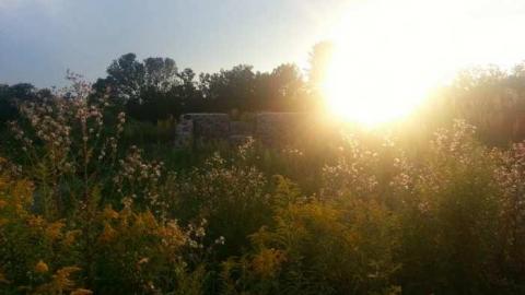 Summer 2013 - Jacksons-Point-Red-Barn-Inn13.jpg