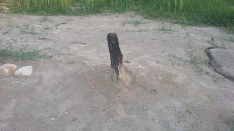 Photo from Summer 2013