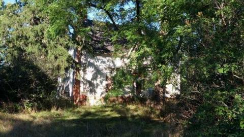 Outside - H(ave)-A-Peacock17.jpg