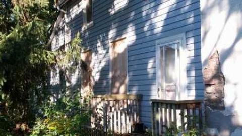 Outside - H(ave)-A-Peacock21.jpg