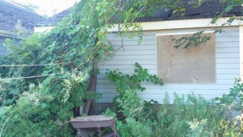 Outside - H(ave)-A-Peacock16.jpg