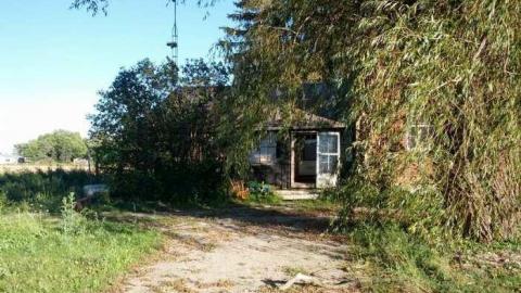 Outer walls - 2013-09-03 18.18.57.jpg