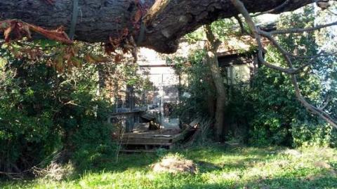 Outer walls - 2013-09-03 18.21.59.jpg