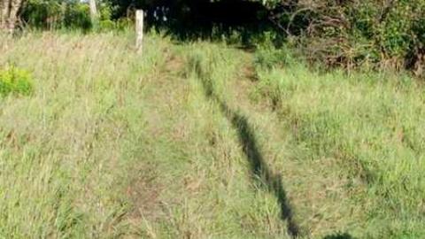 Photo from Why I didn't stay