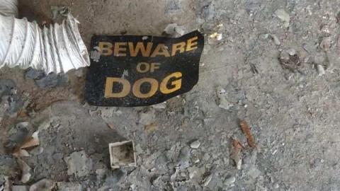 Aug 31 2013 - Old-Red-Near-Kings-Buffet27.jpg