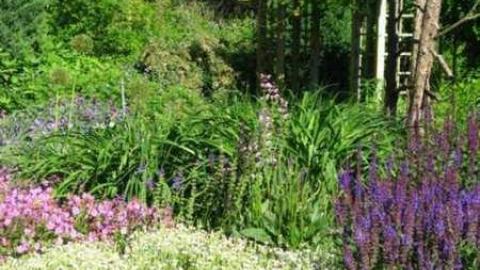 Cullen Gardens photo 4