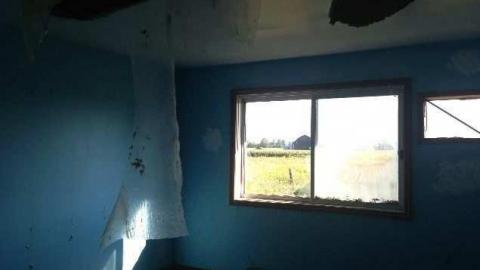 August 2013 - xfimage.jpg