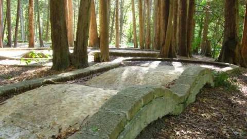 Cullen Gardens - Cullen-Gardens167.jpg