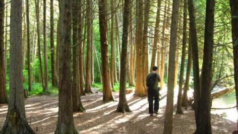 Cullen Gardens photo 3