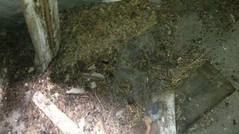 August 2013 - Old-House--Barns39.jpg