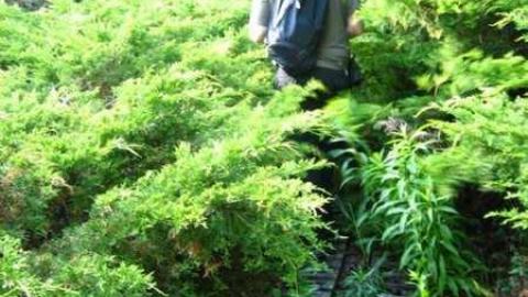 Cullen Gardens - Cullen-Gardens173.jpg