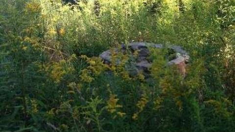 August 2013 - Highpoint-Of-The-Day51.jpg