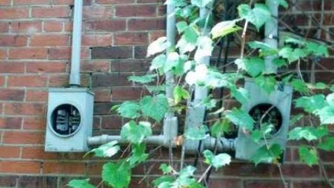 Hall, and an outbuilding. - Oddfellows,-and-an-Odd-House33.jpg