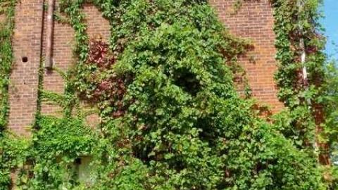 Oddfellows, and an Odd House - Mississauga, Ontario