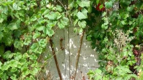 Hall, and an outbuilding. - Oddfellows,-and-an-Odd-House32.jpg