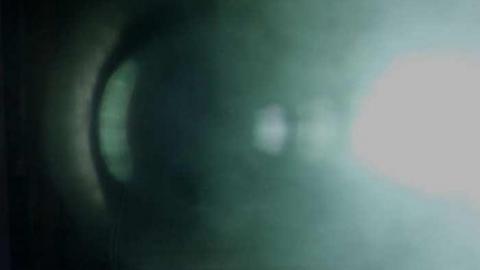 Savannah Rowe photo 5