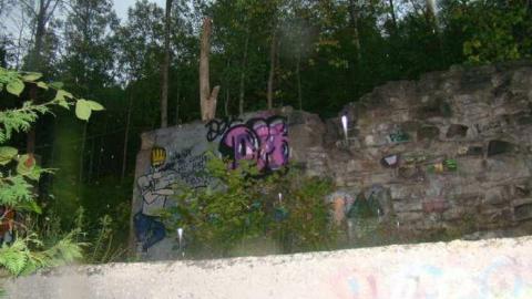 Cataract Falls Ruins  - Churchs-Falls-Old-Mill83.jpg