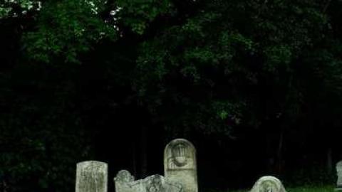 Paulapie's Altona cover photo