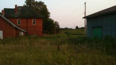 Damned iPhone 3G - IMG_3187.jpg