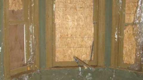 Photo from Peelies Galore