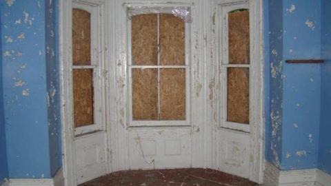 Photo from Peelies Galore