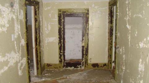 Peelies Galore - Highpoint-Of-The-Day59.jpg