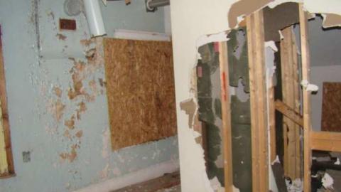 Peelies Galore - Highpoint-Of-The-Day60.jpg