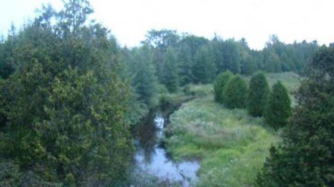 Peelies Galore - Highpoint-Of-The-Day61.jpg