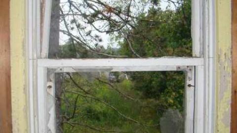 Peelies Galore - Highpoint-Of-The-Day62.jpg