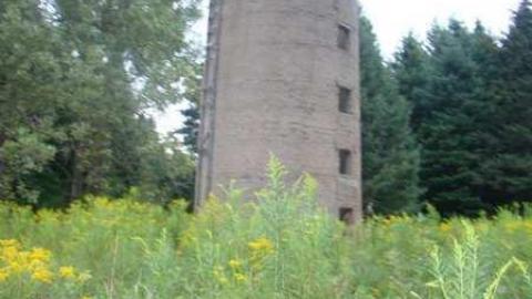 Photo from Peelies Galore