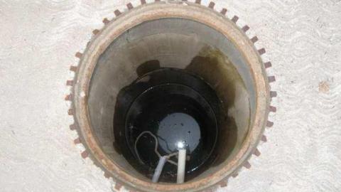 8/13/13 Visit - IMG_6519.jpg