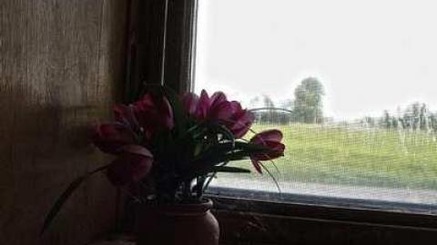 Gallery Re-Add? - ys_MG_2560.jpg