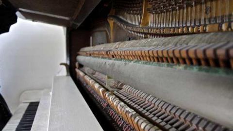 Gallery Re-Add? - sy_MG_2565.jpg