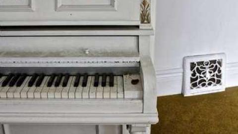 Gallery Re-Add? - lq_MG_2571.jpg