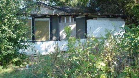 Photo from A Distant Mather