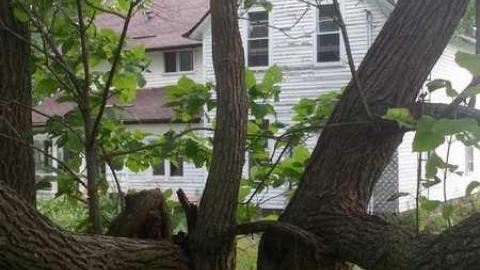 August 2013 - 217.jpg